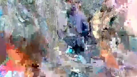 alexa alice jane daisy online show from March 2025 02:19:02 PM