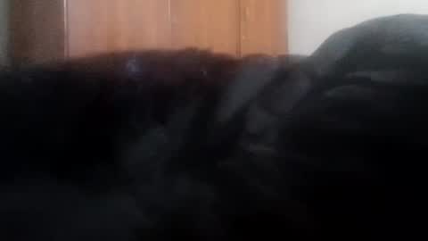 katrina follow me guys online show from January 2025 04:07:01 AM