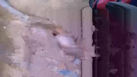 Snapshot of lovesblackazz chatting on March 2026 03:43:01 AM Lovesblackazz online show from March 2026 03:43:01 AM