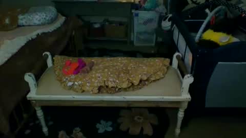 lovetubes101 online show from September 2025 01:18:02 AM