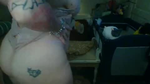 lovetubes101 online show from October 2025 01:13:01 AM