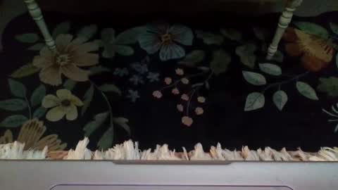 lovetubes101 online show from October 2025 12:46:02 AM