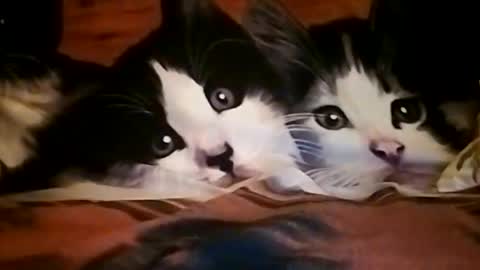 lubiecie154 online show from September 2025 05:45:02 PM