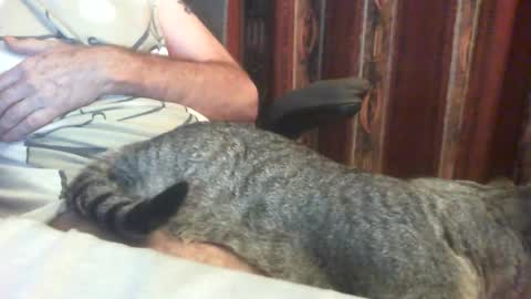 Snapshot of lucb1 chatting on August 2026 08:52:02 PM Luc online show from August 2026 08:52:02 PM