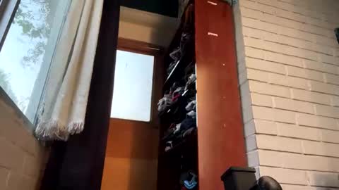 Felipe online show from December 2024 11:52:02 PM