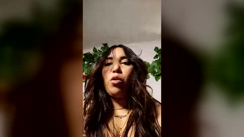 Dani 3 online show from June 2026 12:46:02 AM