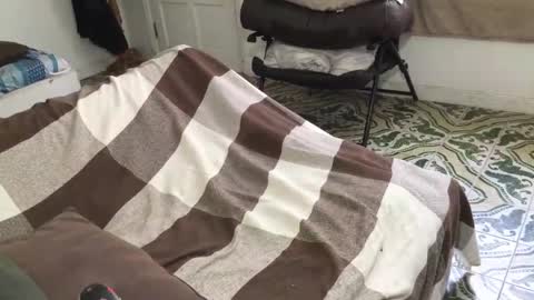 lucifer_curious online show from March 2026 04:39:02 PM