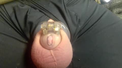 Snapshot of lucky_cuck chatting on January 2025 09:18:01 PM Lucky Cuck online show from January 2025 09:18:01 PM