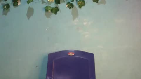 Gloria online show from November 2025 01:00:02 AM