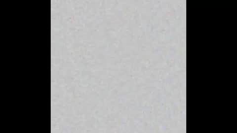 Alisa online show from November 2025 09:20:01 AM