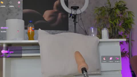 Snapshot of luckystrikee_ chatting on February 2025 11:13:02 PM Alice online show from February 2025 11:13:02 PM
