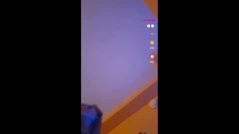 Lucy Vybes and Go-Gert online show from November 2025 11:58:01 AM