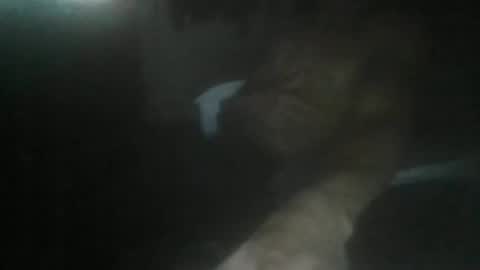 Snapshot of luizs23 chatting on November 2025 05:07:02 AM luizs23 online show from November 2025 05:07:02 AM