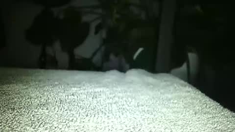 Luke online show from April 2026 01:19:01 AM