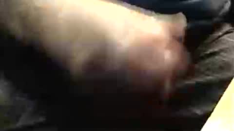 lukestarfckr online show from November 2025 07:57:01 PM