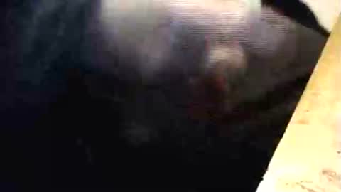 lukestarfckr online show from March 2026 06:32:01 PM