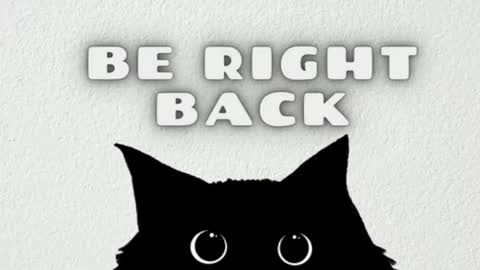 elizabeth online show from April 2026 11:55:02 PM