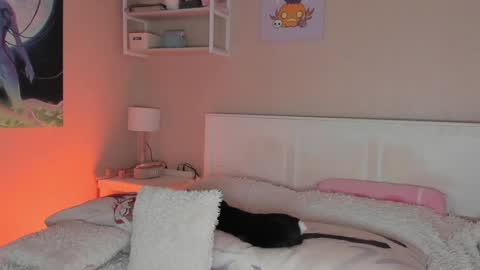 Sofia online show from December 2024 08:11:02 AM