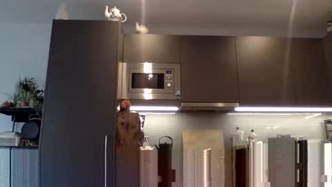 Snapshot of lupine_666 chatting on December 2024 10:56:01 AM Lupine online show from December 2024 10:56:01 AM