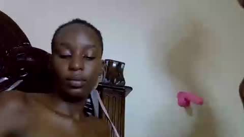 lutino_lovebirds online show from April 2026 07:51:02 PM