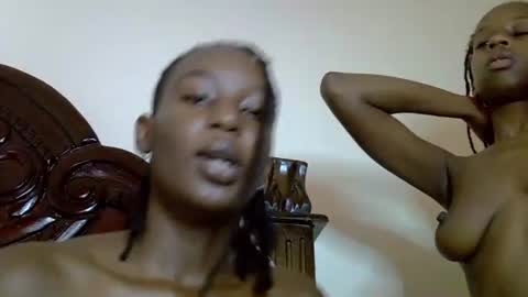 lutino_lovebirds online show from April 2026 08:02:02 AM