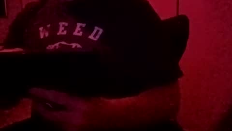 Luv2tokNstrok online show from November 2025 10:49:02 AM