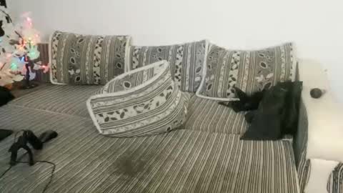 Snapshot of luxmelys chatting on December 2024 05:48:01 AM LuxMelys online show from December 2024 05:48:01 AM