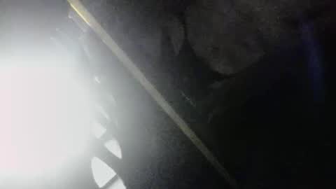 SLoppYxXPeeHoLeXxGspotxX online show from April 2026 03:48:01 AM