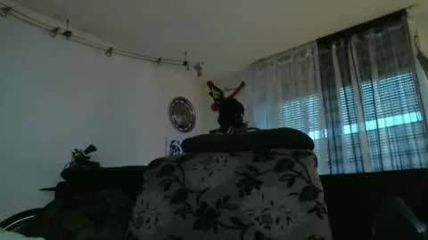 Manuel online show from December 2024 03:39:01 PM