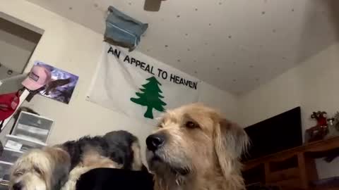 SummerPeach online show from December 2024 09:43:02 AM