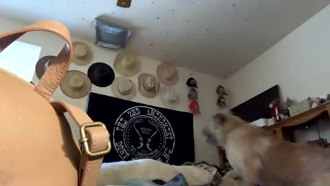 SummerPeach online show from January 2025 11:21:02 PM