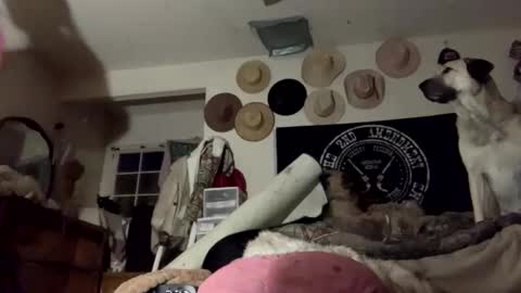 SummerPeach online show from January 2025 02:00:02 AM