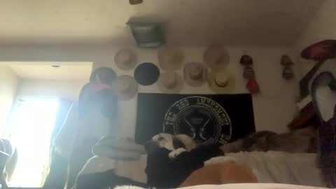 SummerPeach online show from February 2025 04:14:01 PM