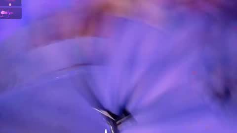    online show from December 2025 07:10:02 PM