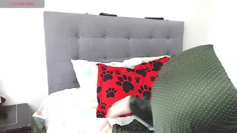 magic_stephany__ online show from February 2026 01:28:01 PM