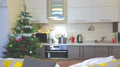 Alice online show from December 2024 04:19:02 PM