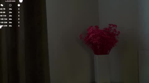 Snapshot of maidabuoy chatting on February 2025 05:05:01 AM Lucy online show from February 2025 05:05:01 AM