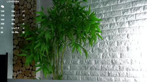 Lucy online show from April 2026 02:11:02 AM