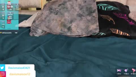 Maison Davis online show from December 2024 03:21:02 AM