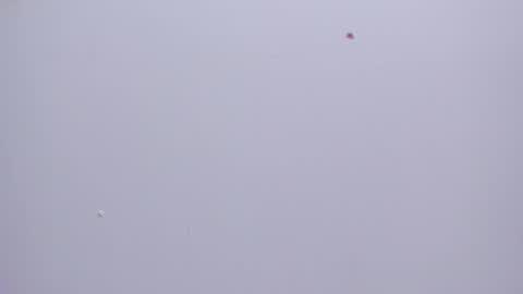 malory__jones online show from January 2026 06:34:01 PM