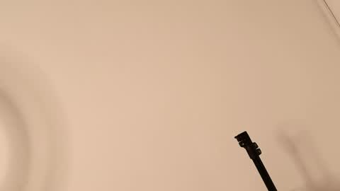 Lory  online show from April 2026 06:57:01 PM