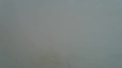 mamichula42 online show from December 2025 02:28:02 AM