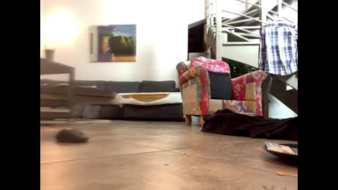 man38110 online show from February 2025 06:51:02 PM