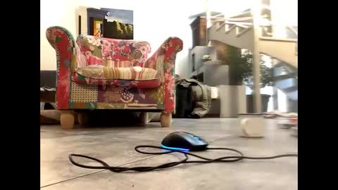 man38110 online show from March 2025 08:40:02 AM