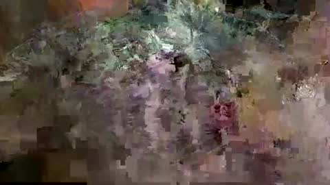 Mancok online show from March 2026 10:33:02 AM