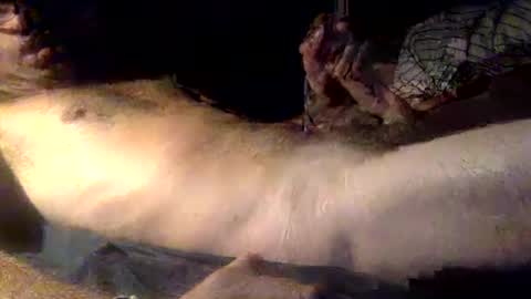 mandalay3 online show from December 2025 05:12:02 AM