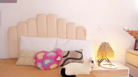   online show from November 2025 07:25:02 PM