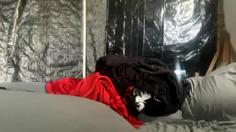 Mani4sexy online show from June 2026 08:04:01 PM
