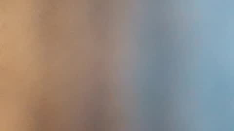 Jan and Man online show from January 2026 06:06:02 AM