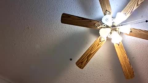 Jan and Man online show from February 2026 05:17:01 AM